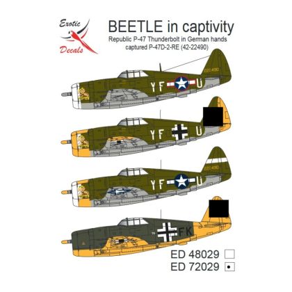 1:72 Beetle in Captivity - Republic P-47 Thundebolt in German Hands