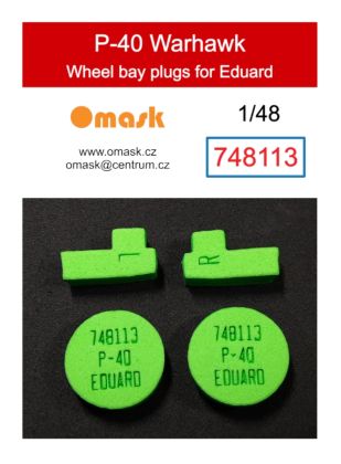 1:48 P-40 Warhawk wheel bay plugs (for Eduard)
