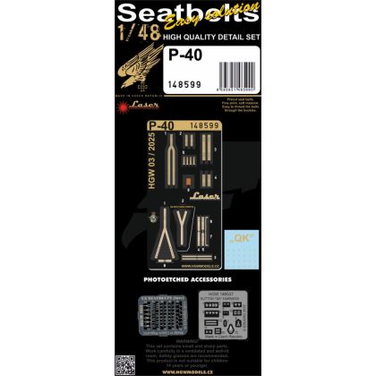 1:48 P-40 - Seatbelts