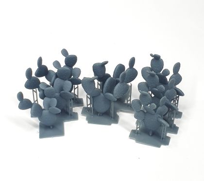 1:35 Cactus small size set (flat shape / 8 pcs)