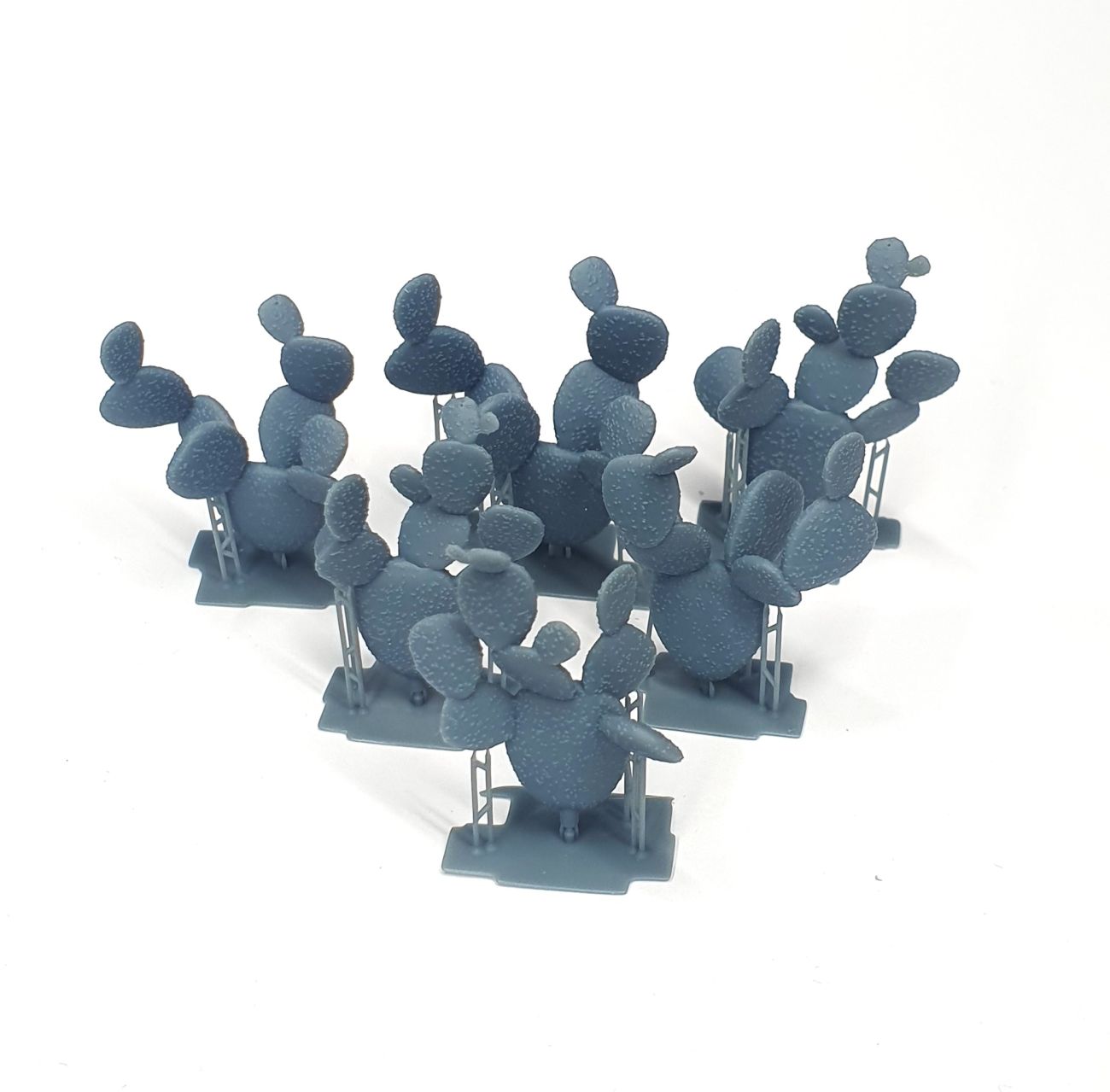1:35 Cactus medium size set (flat shape / 6 pcs)