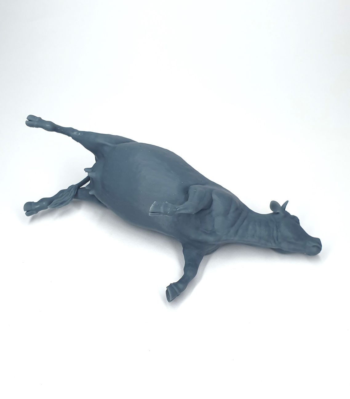 1:35 Dead bloated cow