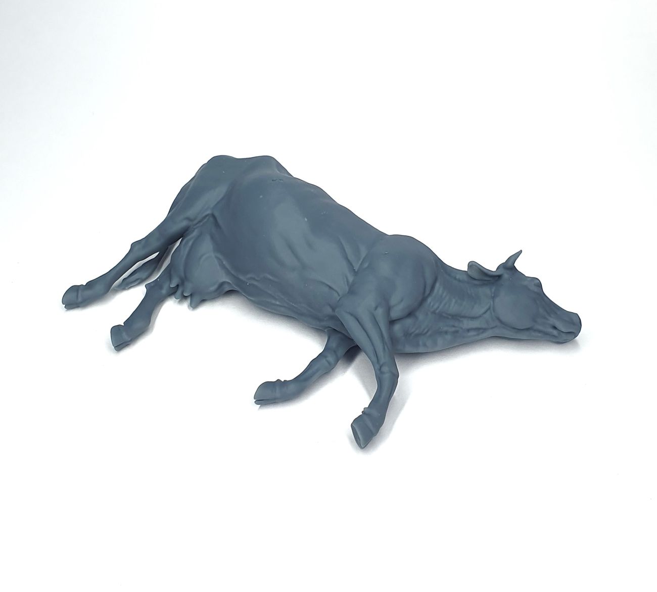 1:35 Dead cow lateral position