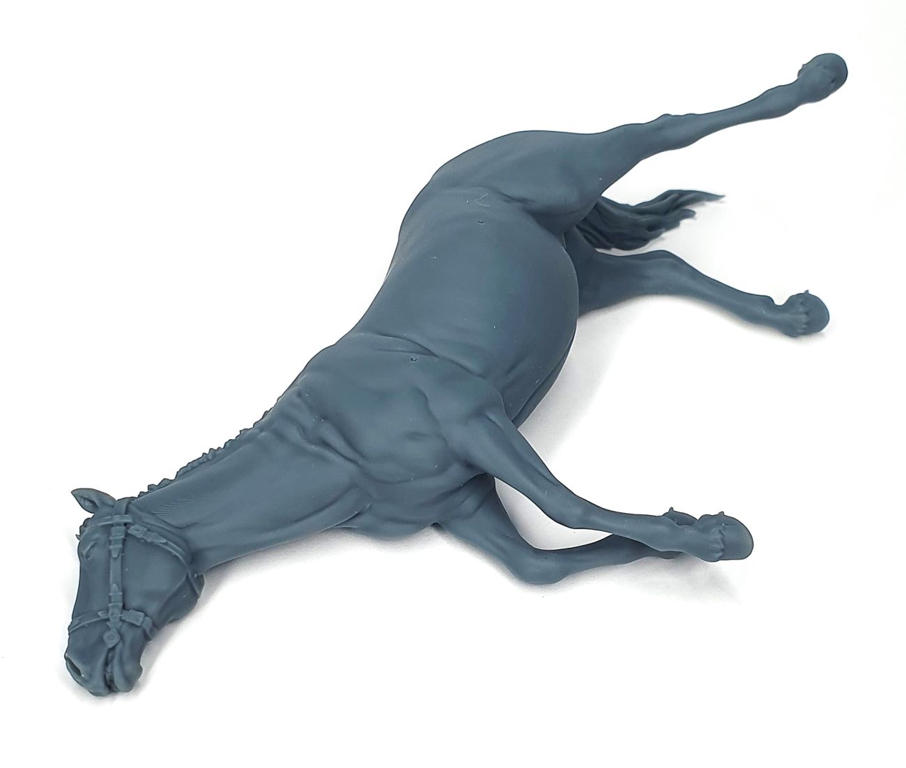 1:35 Dead bloated horse