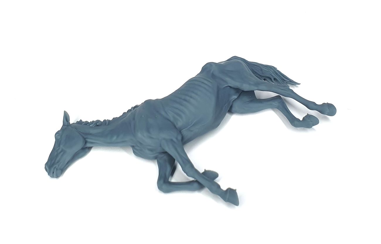 1:35 Dead emaciated horse