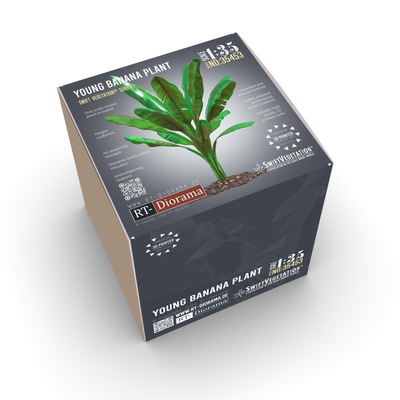 1:35 Young Banana Plant