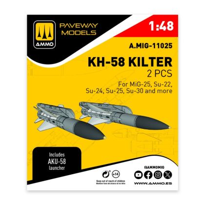 1:48 Kh-58 Kilter (2 pcs)