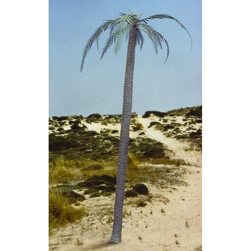 1:35 Palm tree