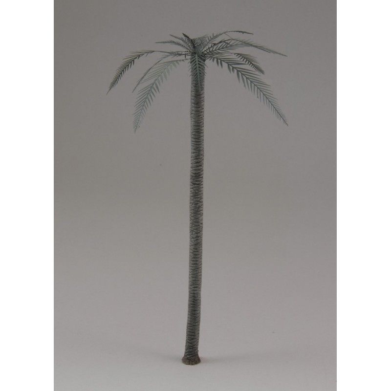 1:48 Palm