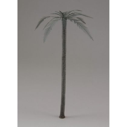 1:48 Palm