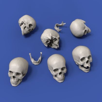 75mm Skulls