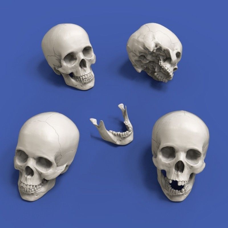 90mm Skulls