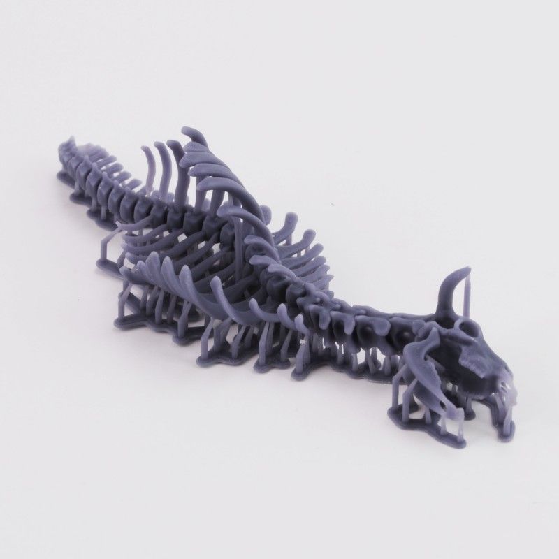 1:35 Cow skeleton n.1