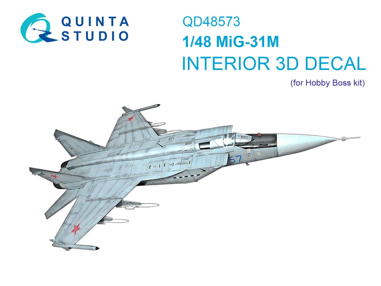 1:48 MiG-31M 3D-Printed & coloured Interior on decal paper (Hobby Boss)