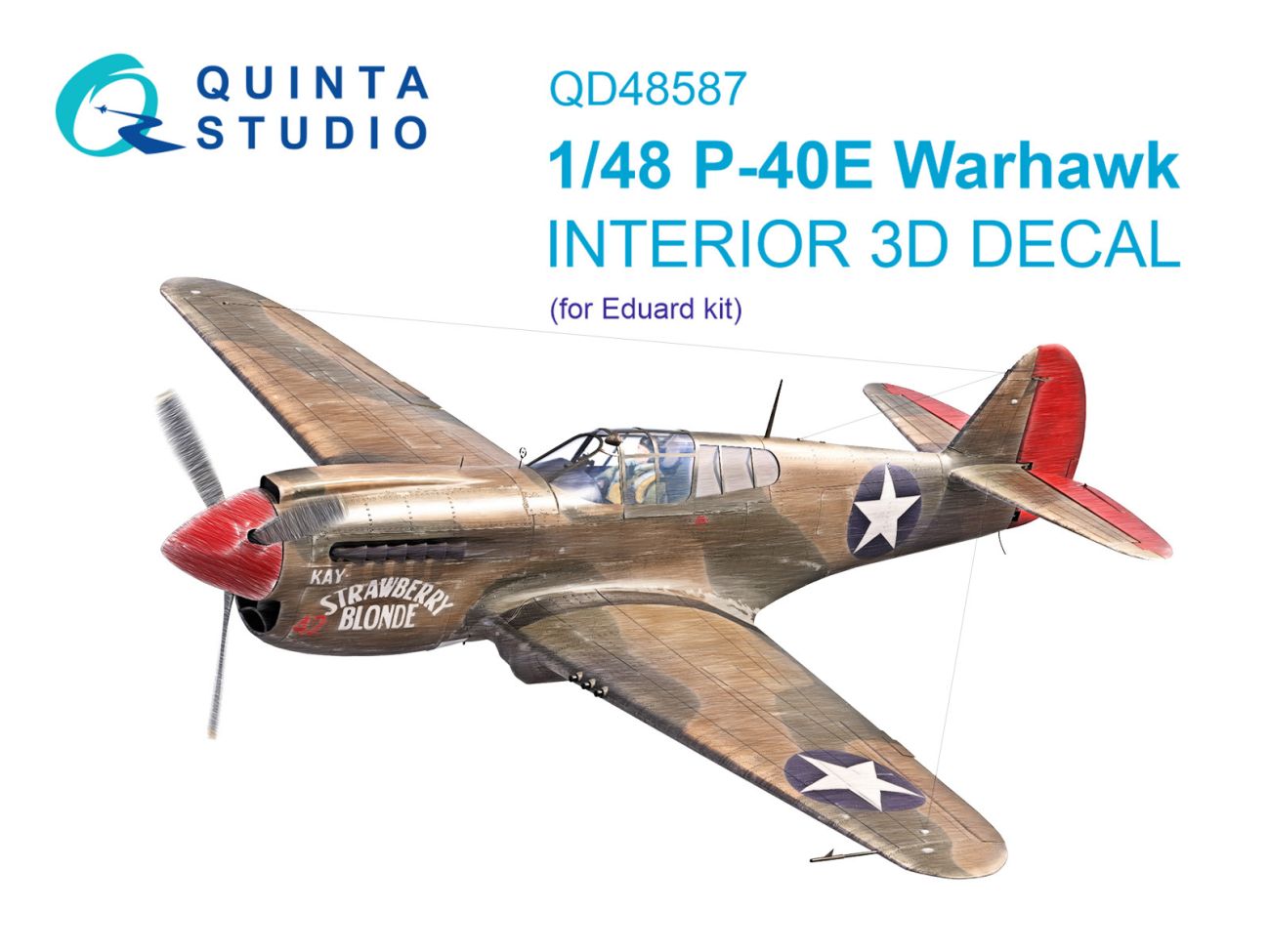 1:48 P-40E Warhawk 3D-Printed & coloured Interior on decal paper (Eduard)