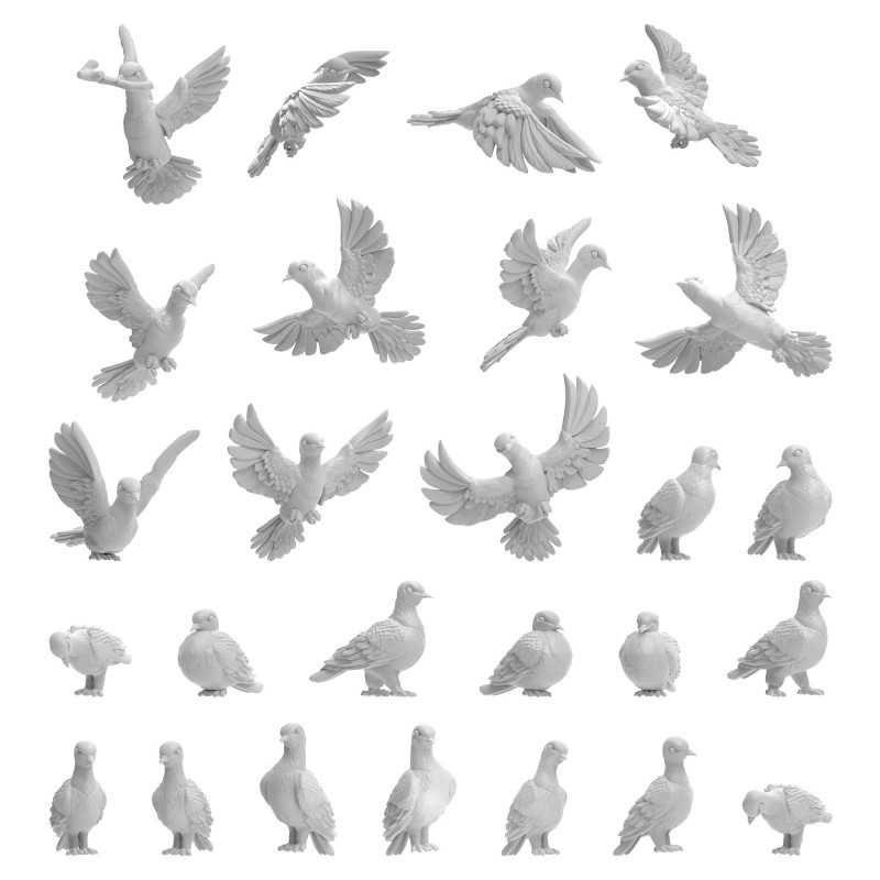 1:48-1:35 Pigeons