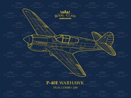1:48 P-40N WARHAWK ROYAL CLASS DUAL COMBO