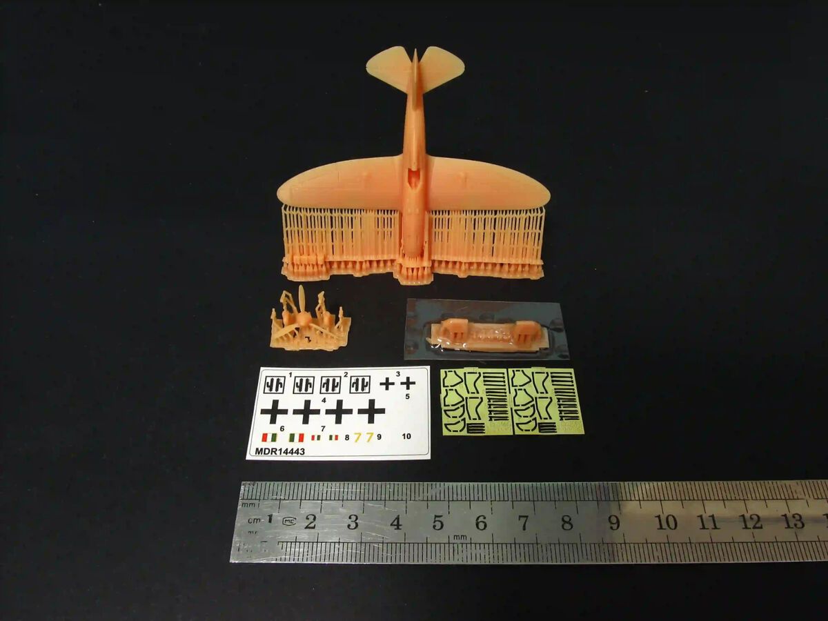 1:144 Reggiane Re.2005 with etched parts and decals (3D-Printed)