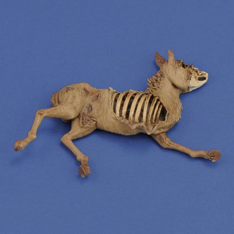 1:35 Donkey carcass