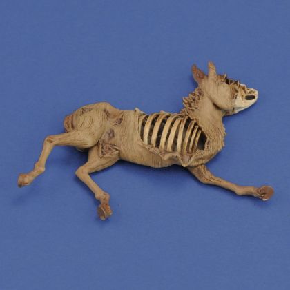 1:35 Donkey carcass