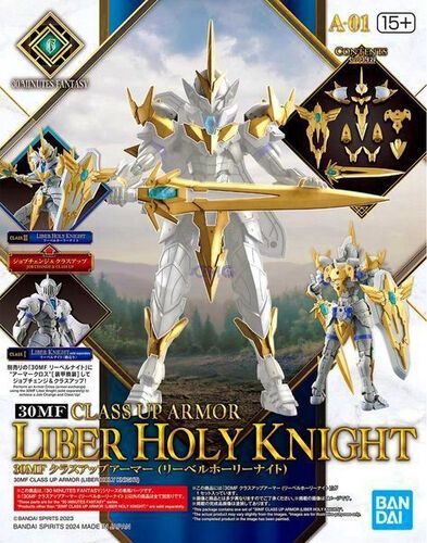 Class Up Armor Liber Holy Knight