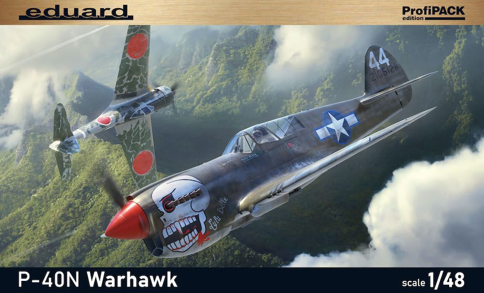 1:48 P-40N Warhawk
