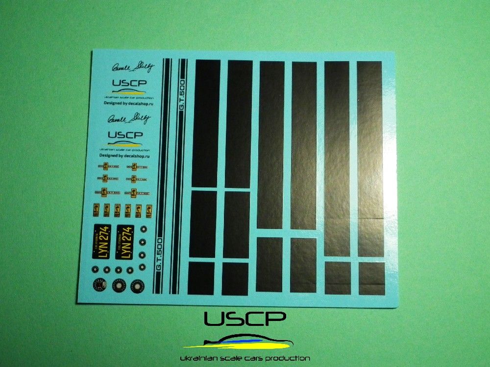 1:24 Shelby GT500 Customs