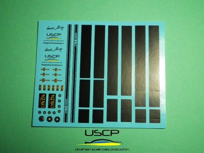 1:24 Shelby GT500 Customs