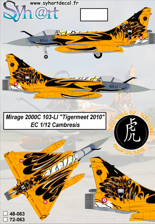 1:48 Mirage 2000C 103-LI Tigermeet 2010