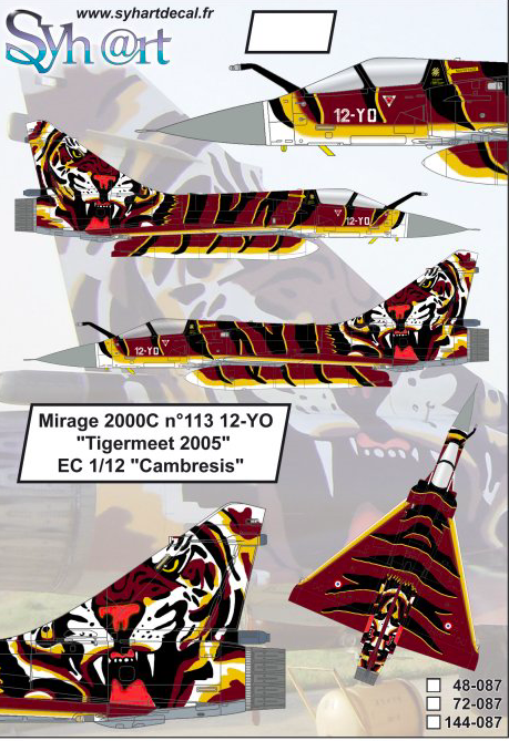 1:48 Mirage 2000C 12-YO Tigermeet 2005