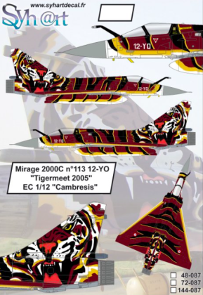 1:144 Mirage 2000C 12-YO Tigermeet 2005