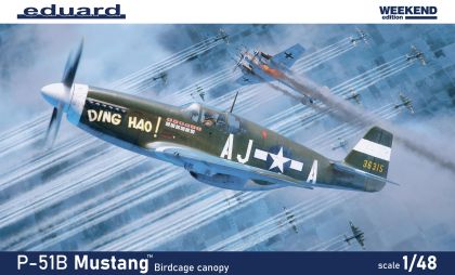 1:48 P-51B/C Mustang Birdcage canopy