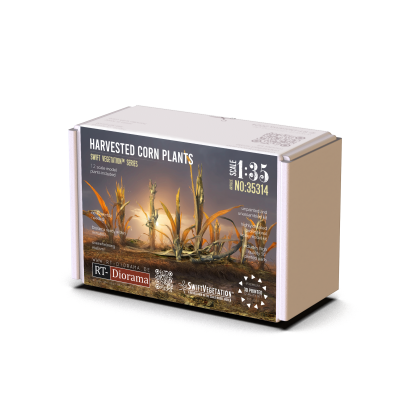 1:35 Harvested Corn Plants