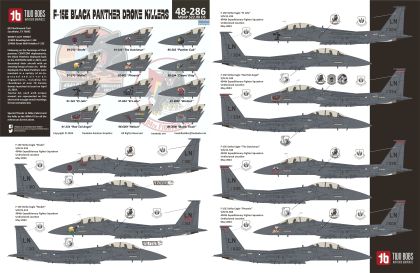 1:48 F-15E Eagle Black Panther Drone Killers from the 494th