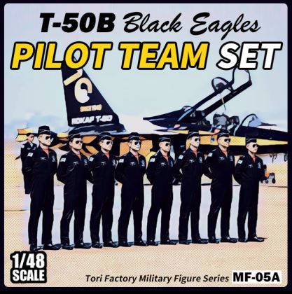 1:48 ROK Black Eagles Pilots Set (8 Figures)
