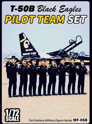 1:72 ROK Black Eagles Pilots Set (8 Figures)