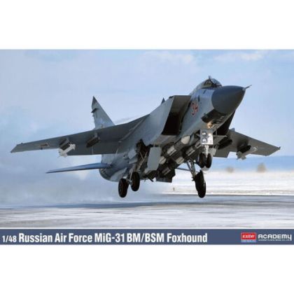 1:48 MiG-31 BM / BSM Foxhound - Russian Air Force