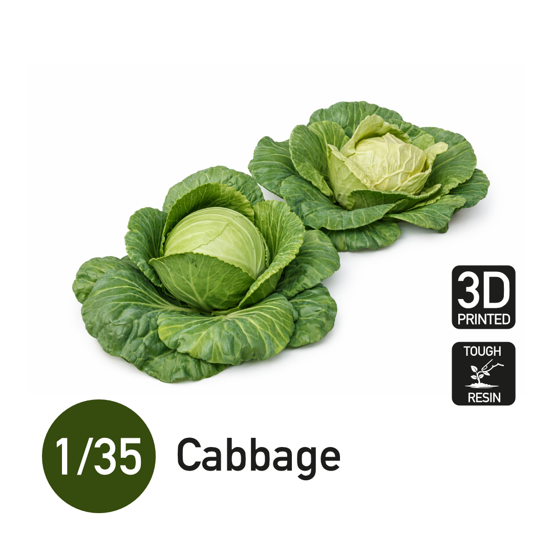 1:35 Cabbage