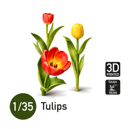 1:35 Tulips