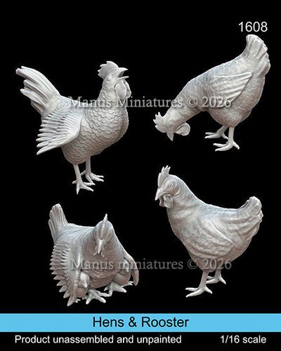 1:16 Hens & Rooster
