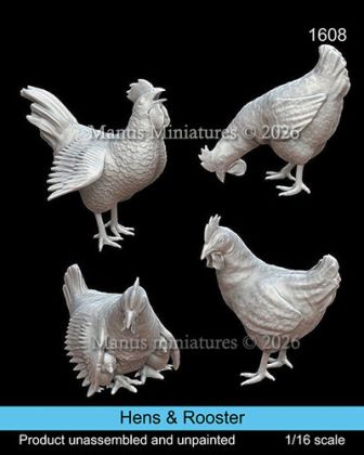 1:16 Hens & Rooster