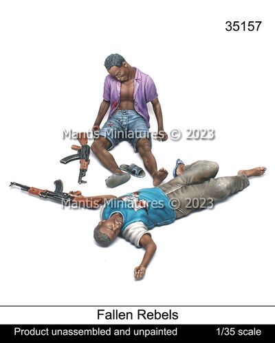 1:35 Fallen Rebels