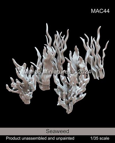 1:35 Seaweed (9pcs In Different Sizes)