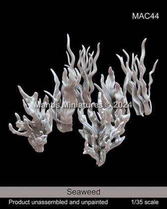1:35 Seaweed (9pcs In Different Sizes)