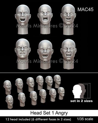 1:35 Head Set 1 Angry - 12 Heads Included (6 Different Faces In Two Sizes)