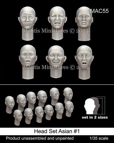 1:35 Head Set Asian #1