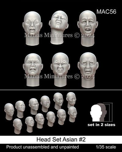 1:35 Head Set Asian #2