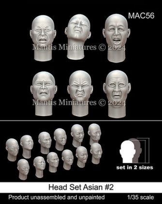 1:35 Head Set Asian #2