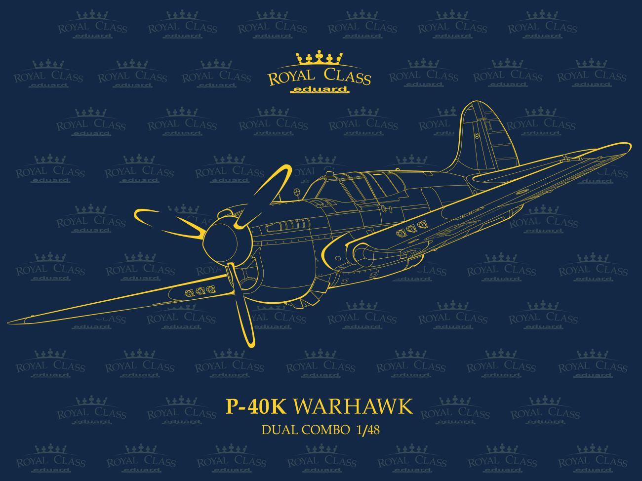 1:48 P-40K Warhawk Royal Class Edition