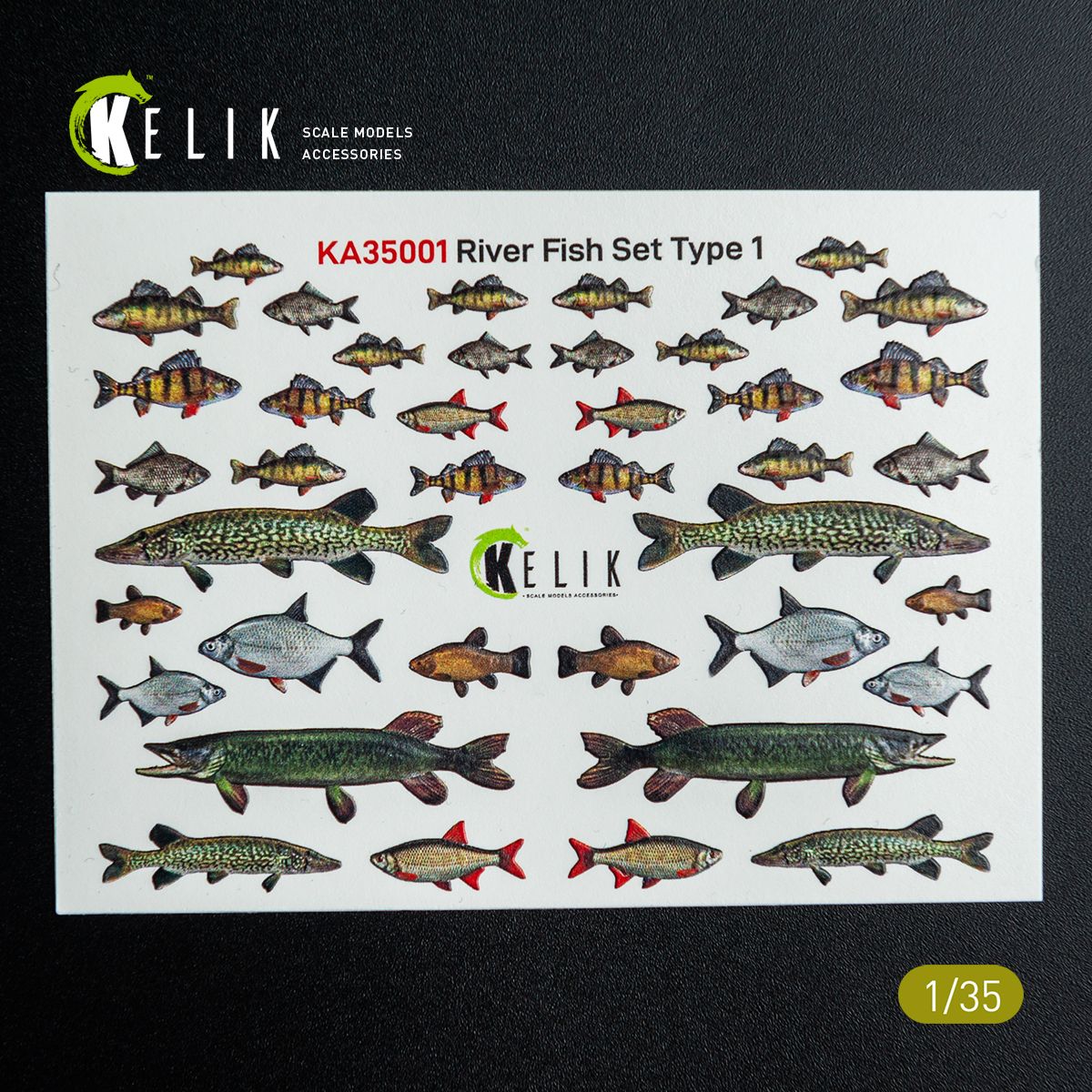 1:35 River Fish Set Type 1 - 3D-Decal for Dioramas
